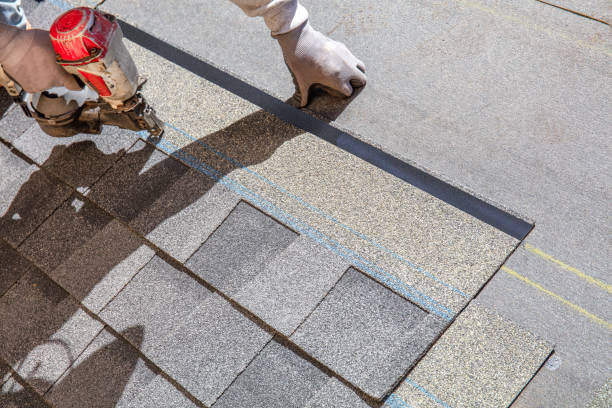 Best Roof Maintenance Services  in Chincoteague, VA